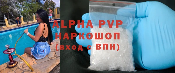 СК Белокуриха