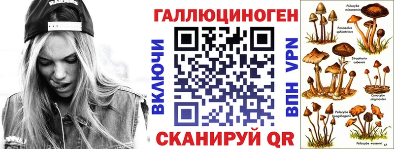 Галлюциногенные грибы мухоморы кракен зеркало Дагестанские Огни